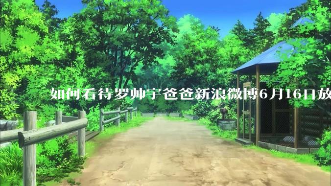如何看待罗帅宇爸爸新浪微博6月16日放出的录音材料？